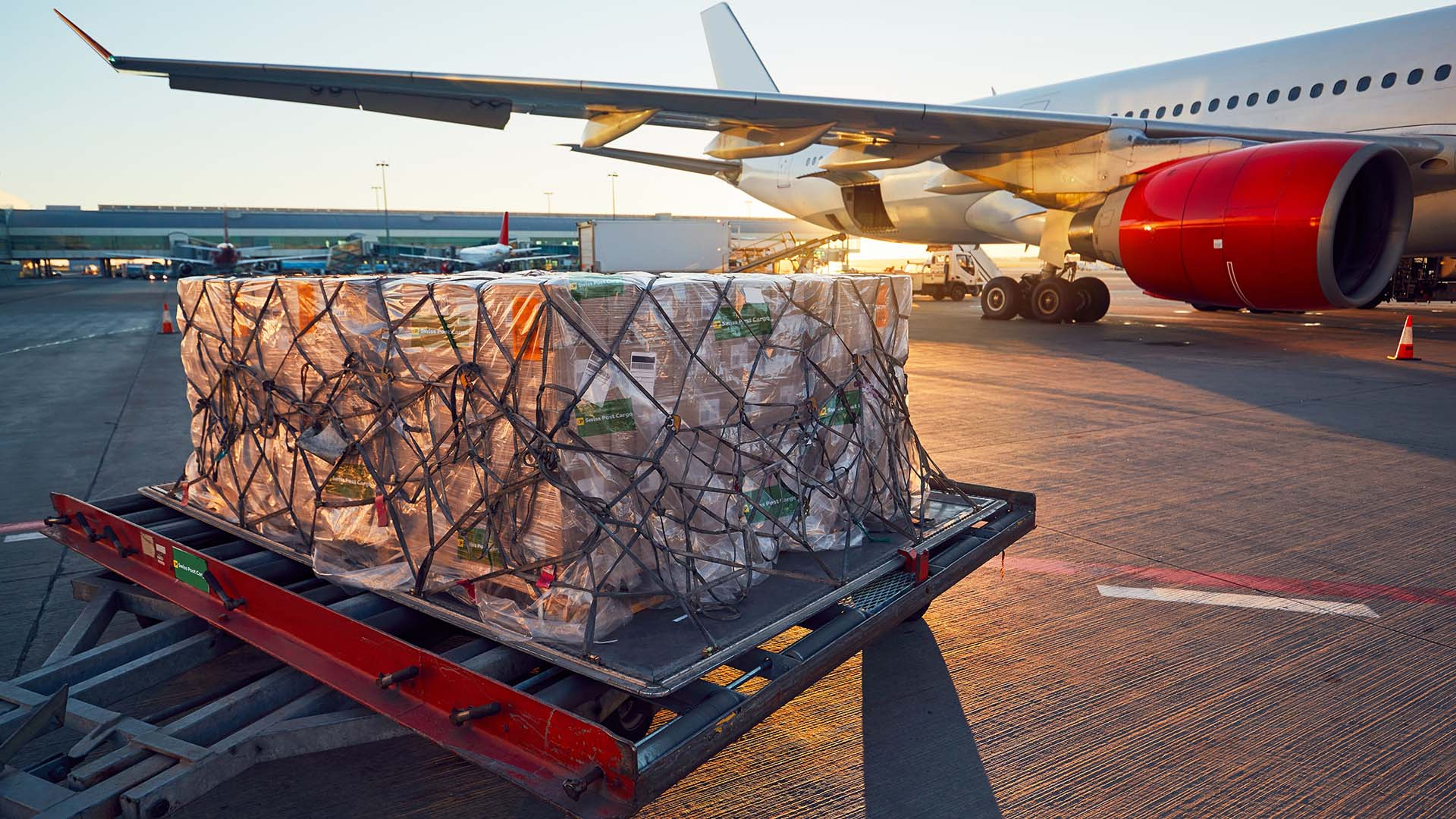 Air cargo standing in front of an aeroplane