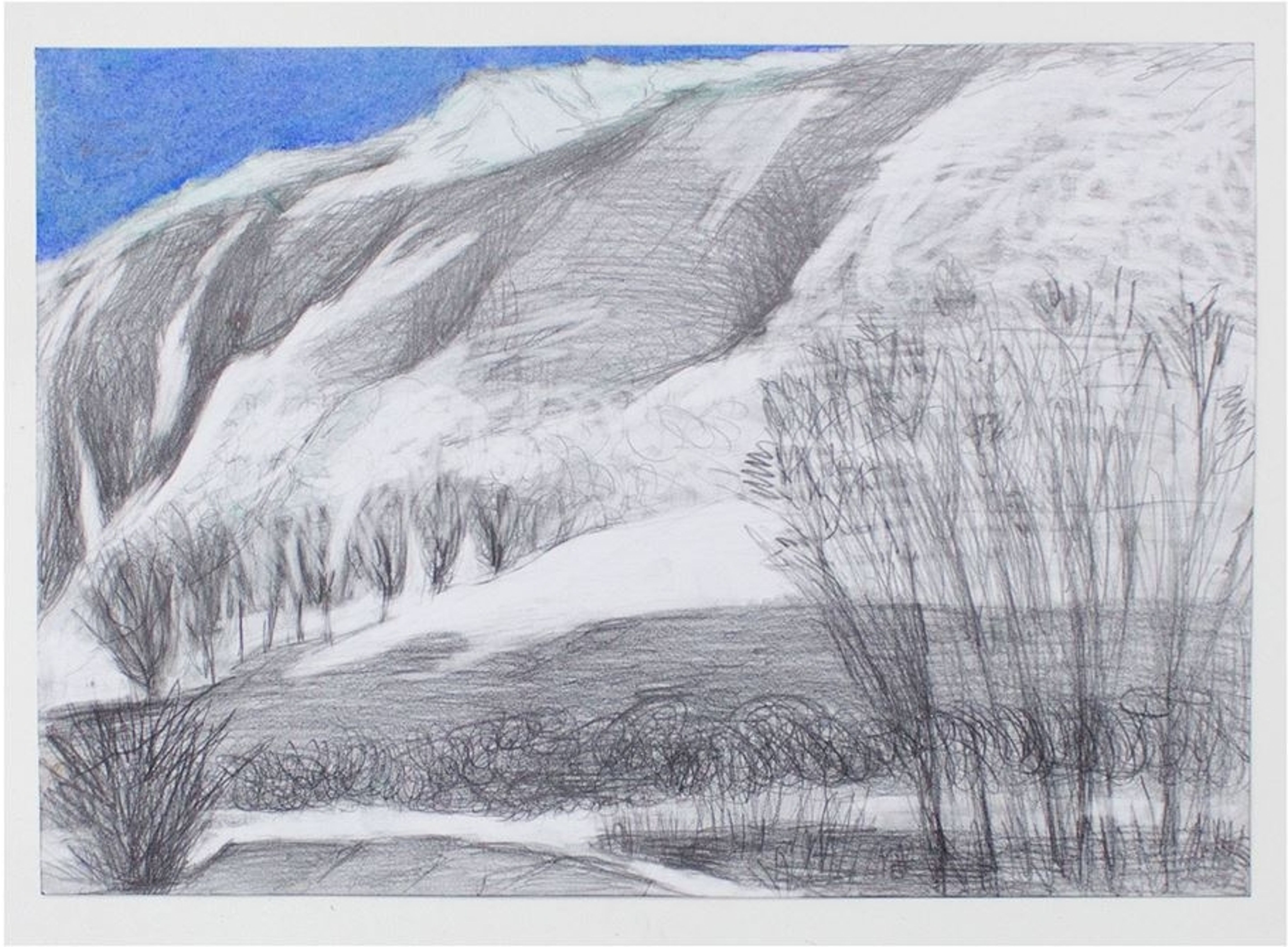 Dessin de paysage hachuré avec des arbres nus et un ciel bleu.
