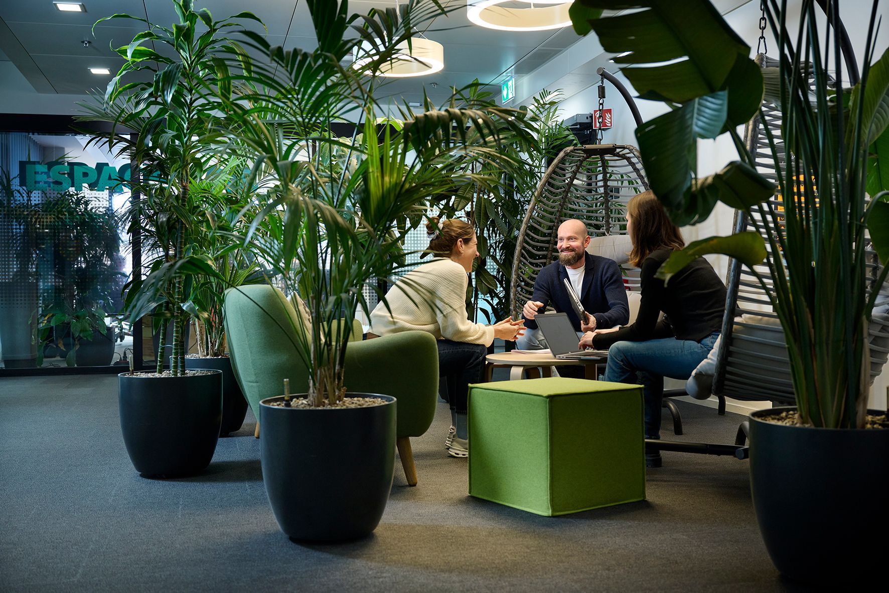 Three people sitting in a modern office decorated with plants.